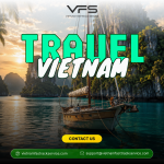 Group Booking Guide for Vietnam Fast Track Service